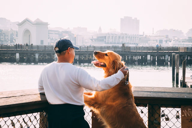 Owner standing with his Labrador retriever