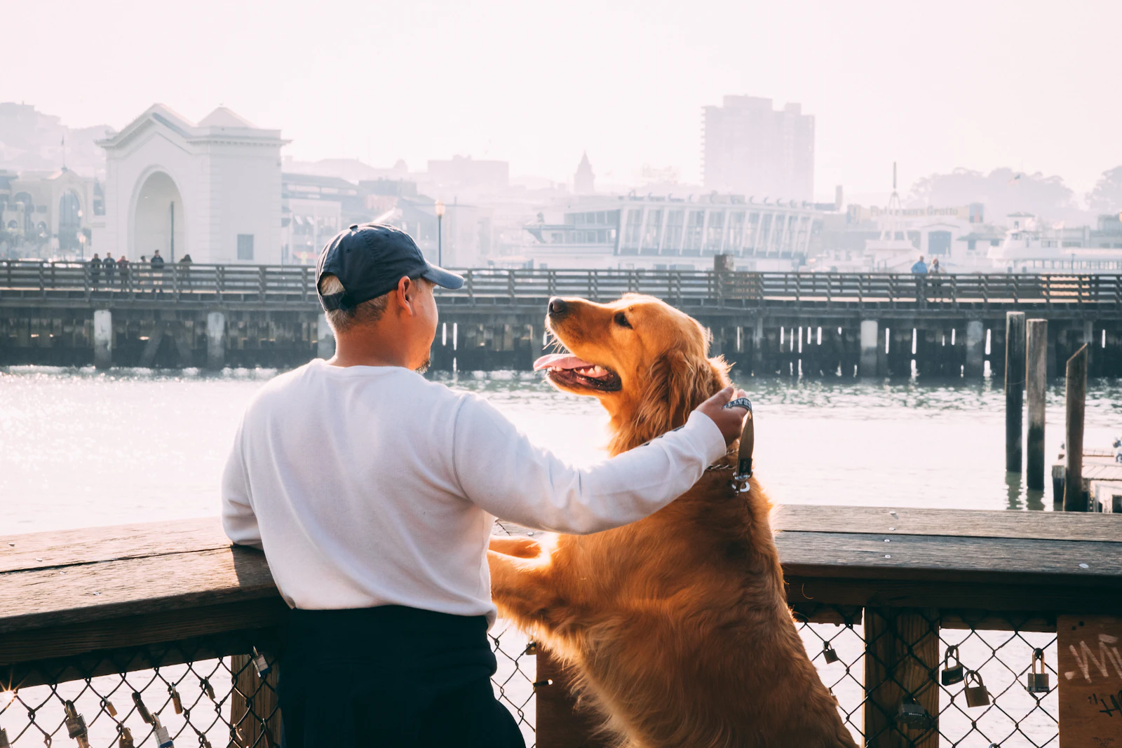 A man with his arm around a golden retriever as the two look out over the water at a city skyline, calm and together in public