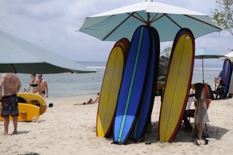 A sunlit beach scene with a lineup of colorful surfboards resting upright in the sand near gentle ocean waves.