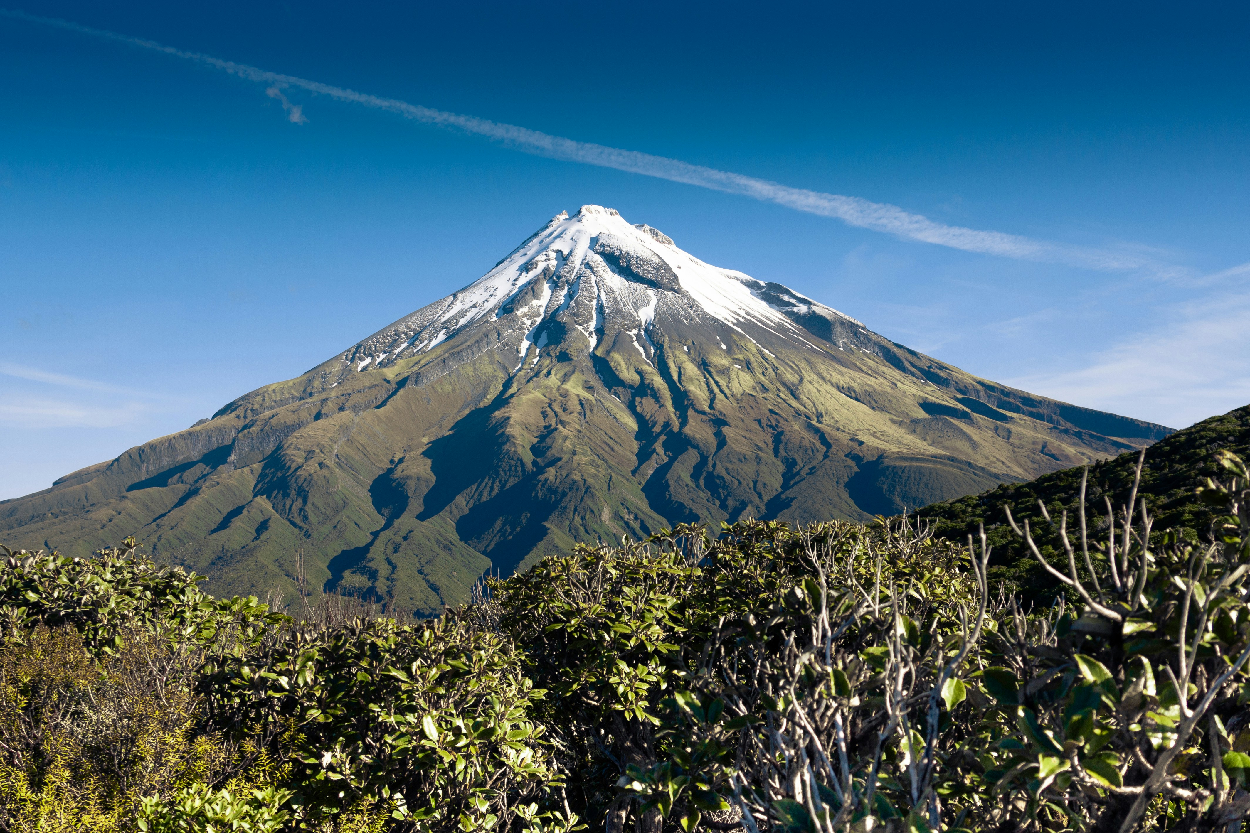 Photo by dandyoctopus