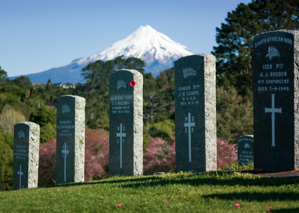 five gray concrete graveyard tombs