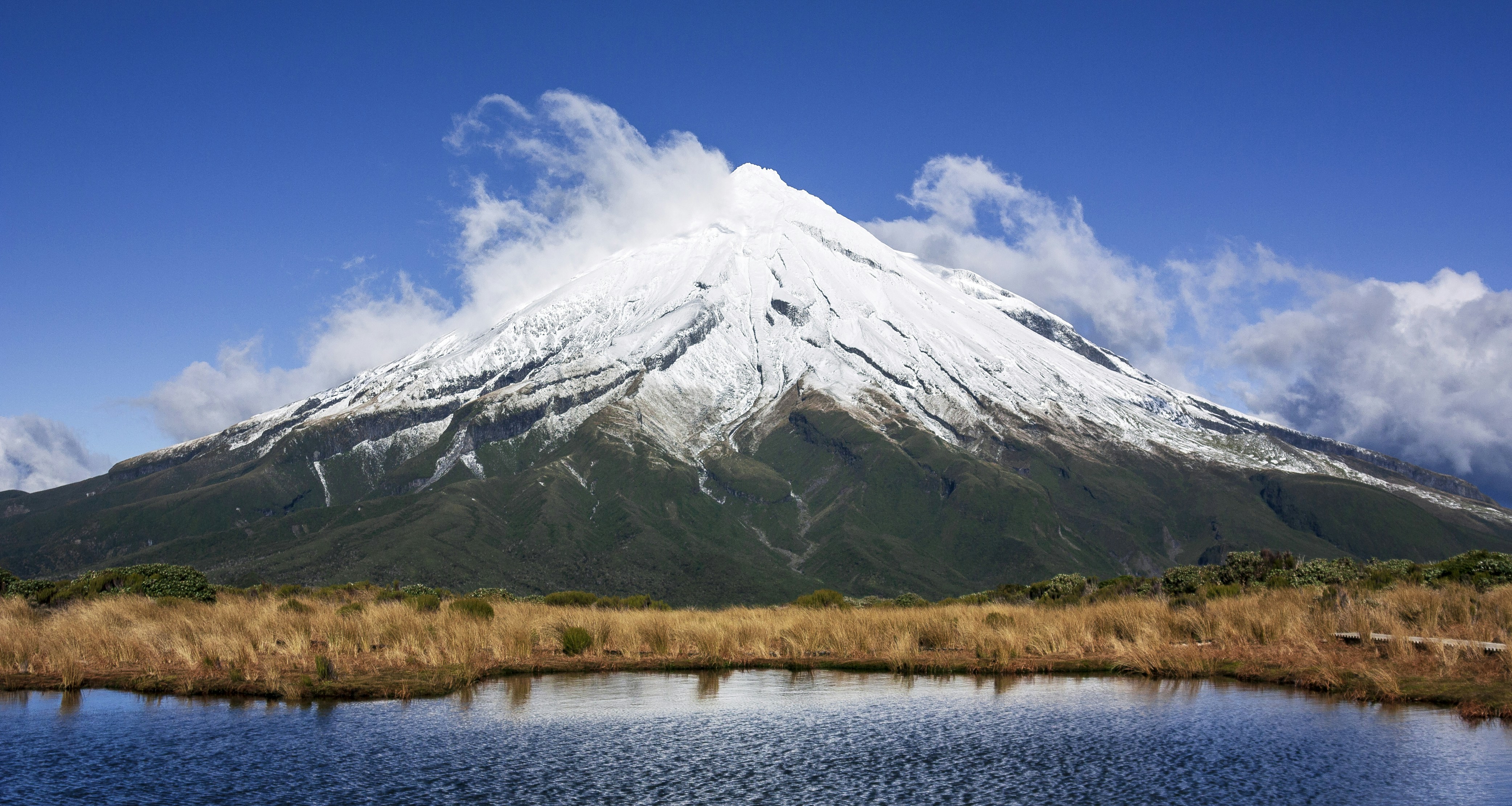 Photo by dandyoctopus