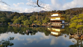A serene shot of the golden pavilion reflecting perfectly in the still water, framed by lush greenery under a clear blue sky.