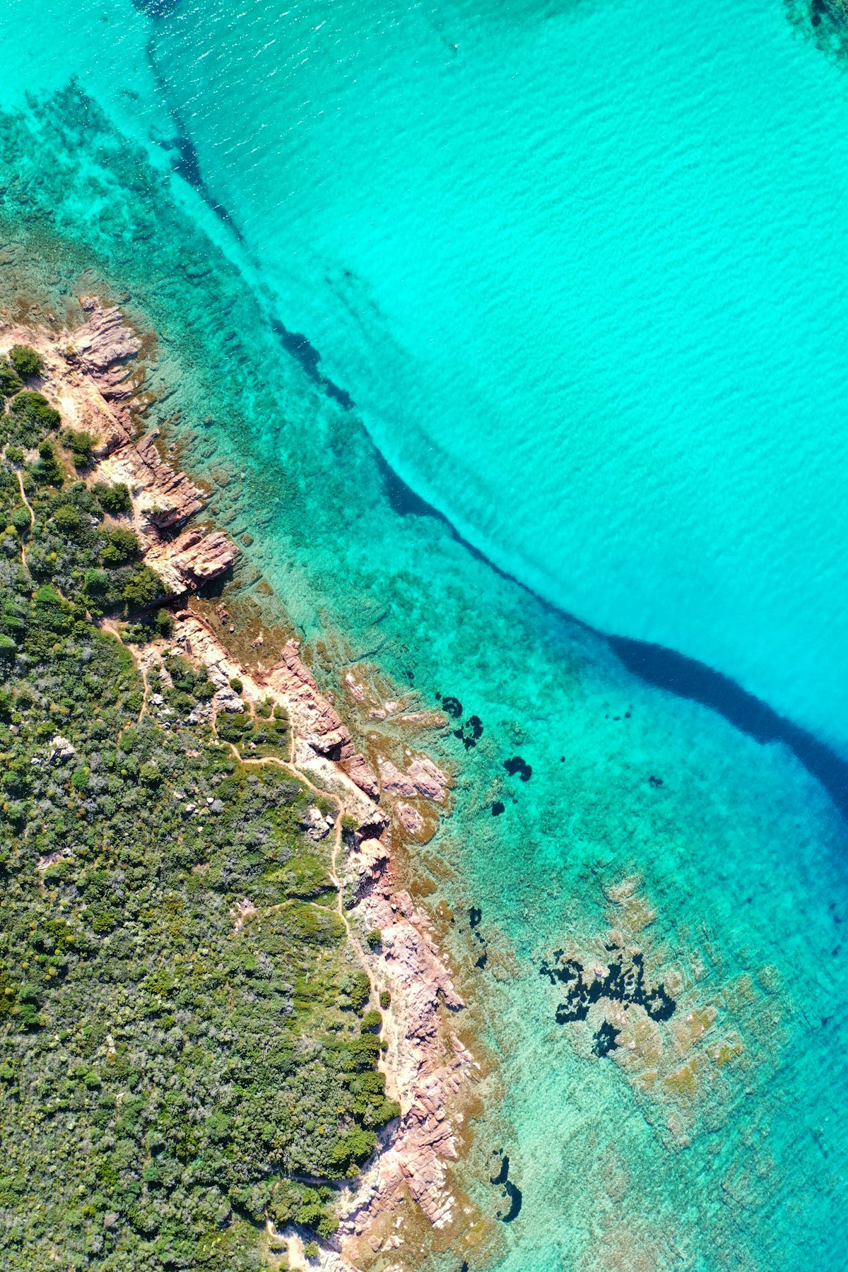 Sardinia July — busy turquoise cove in peak summer