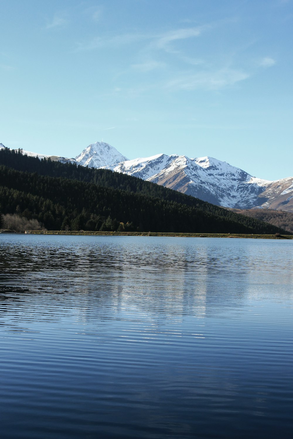 lake in forest