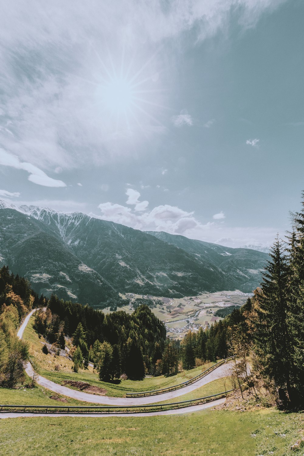 green pine trees growing at the mountain during daytime