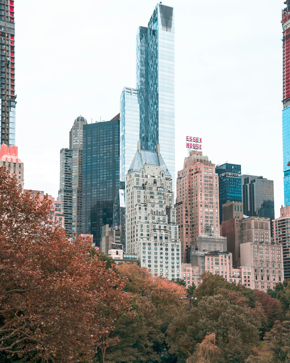 high-rise buildings in city