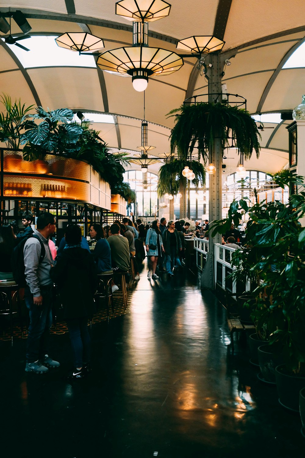 people sitting on chair near plants