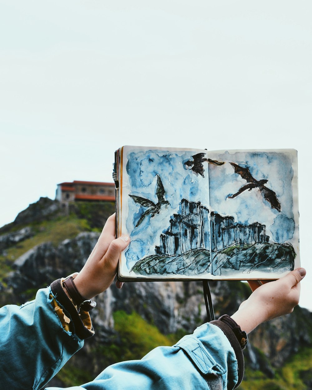 shallow focus photo of person holding book/