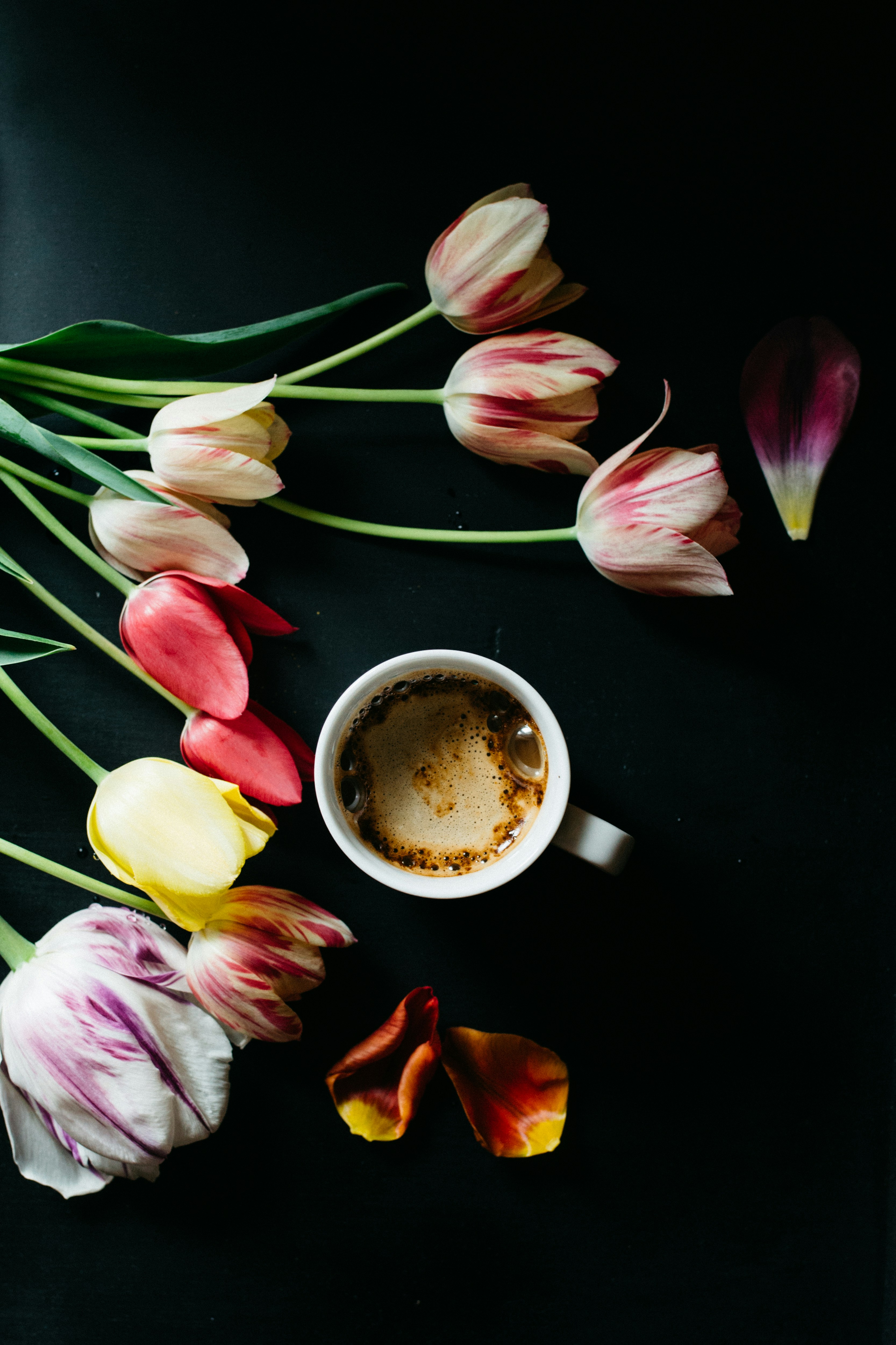 Photo by barnikakovacs