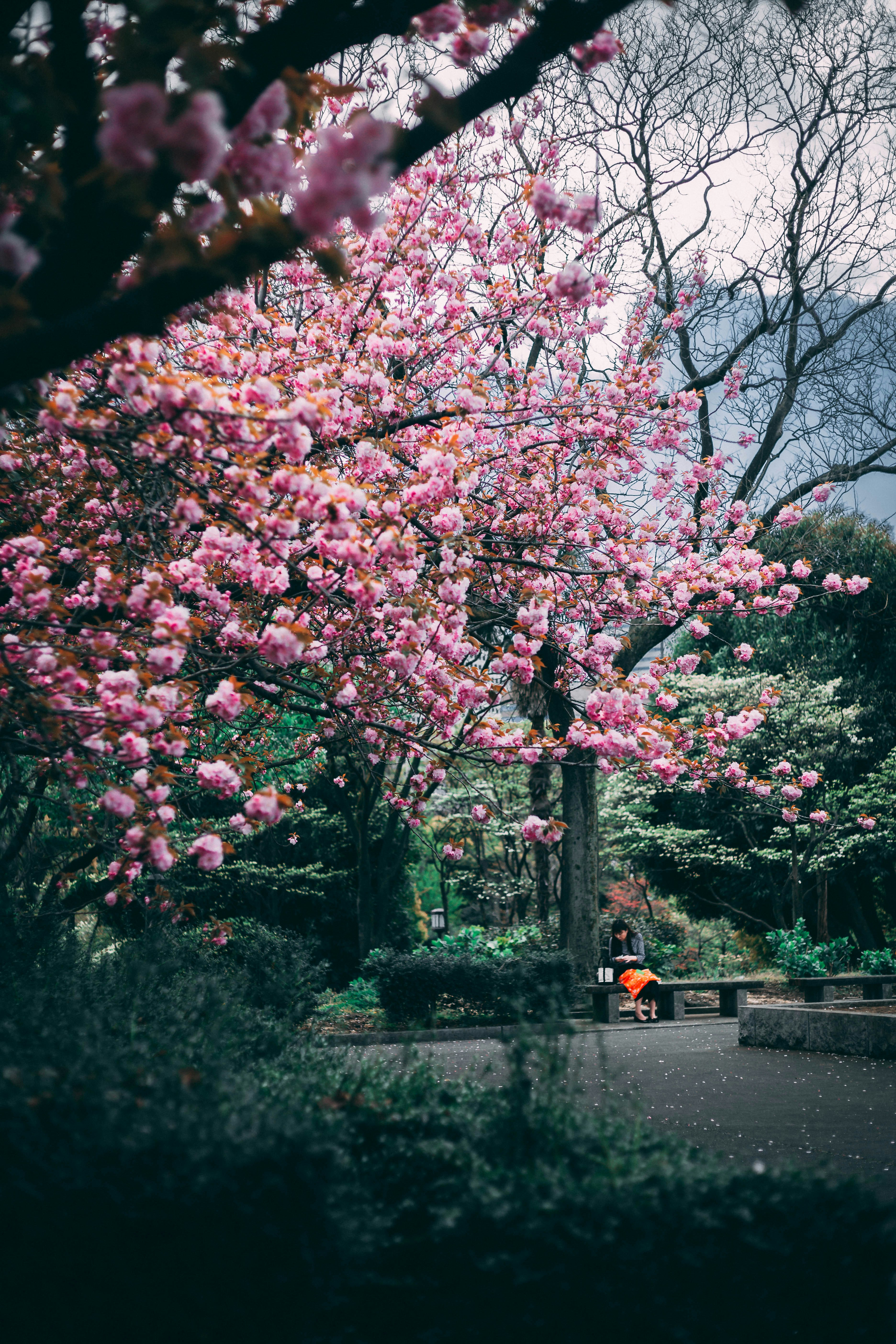 Photo by charlespostiaux