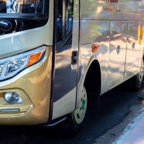 white and brown bus