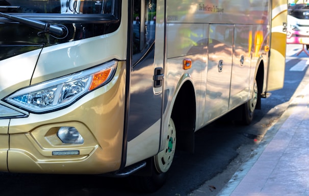 white and brown bus