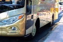 white and brown bus