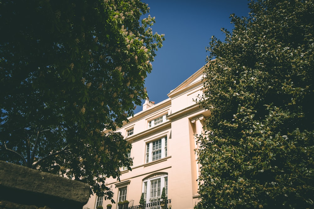 low-angle photography of house beside trees