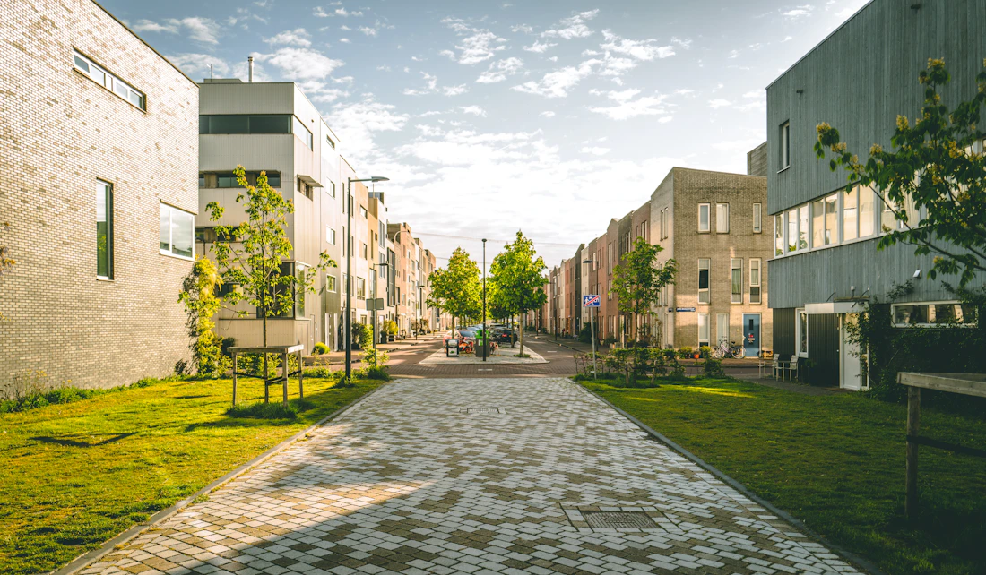 A newly completed residential street with young trees and a shared surface