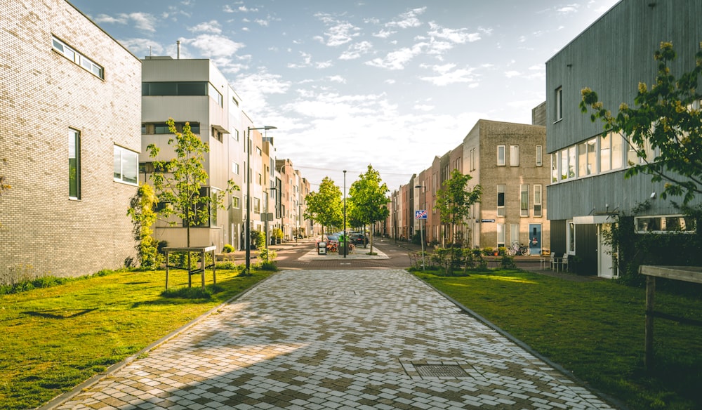 gray brick pathway