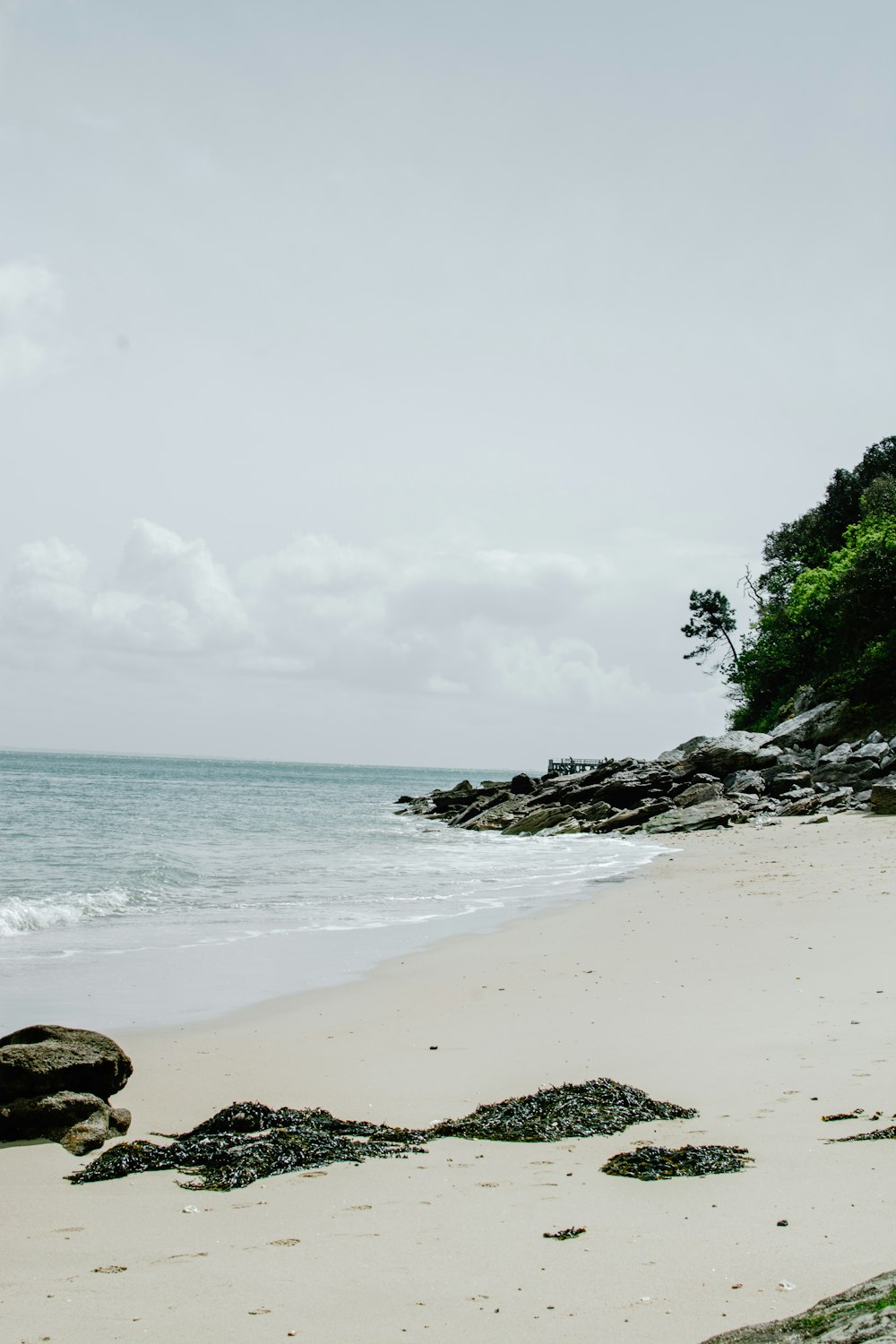 landscape photo of a beach