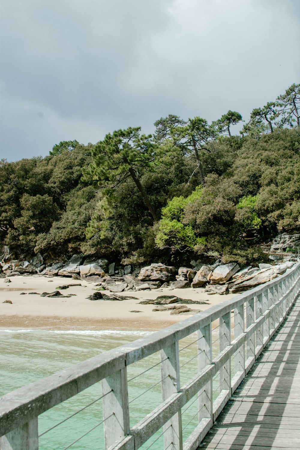 photo of island surrounded with trees in front of body of water