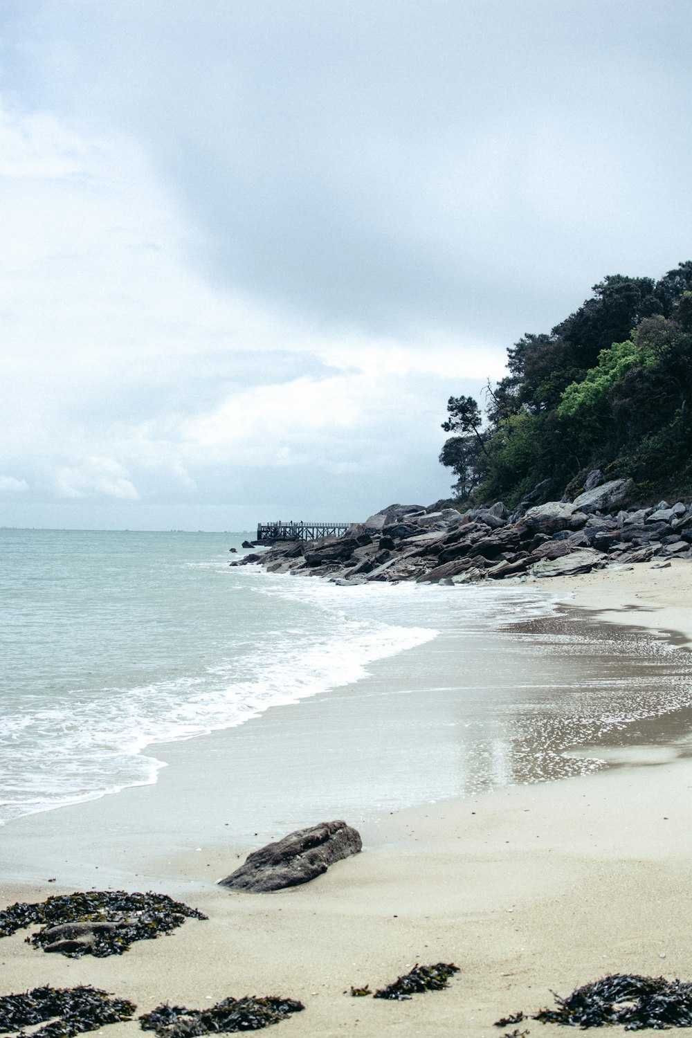 landscape photography of island surrounded with trees