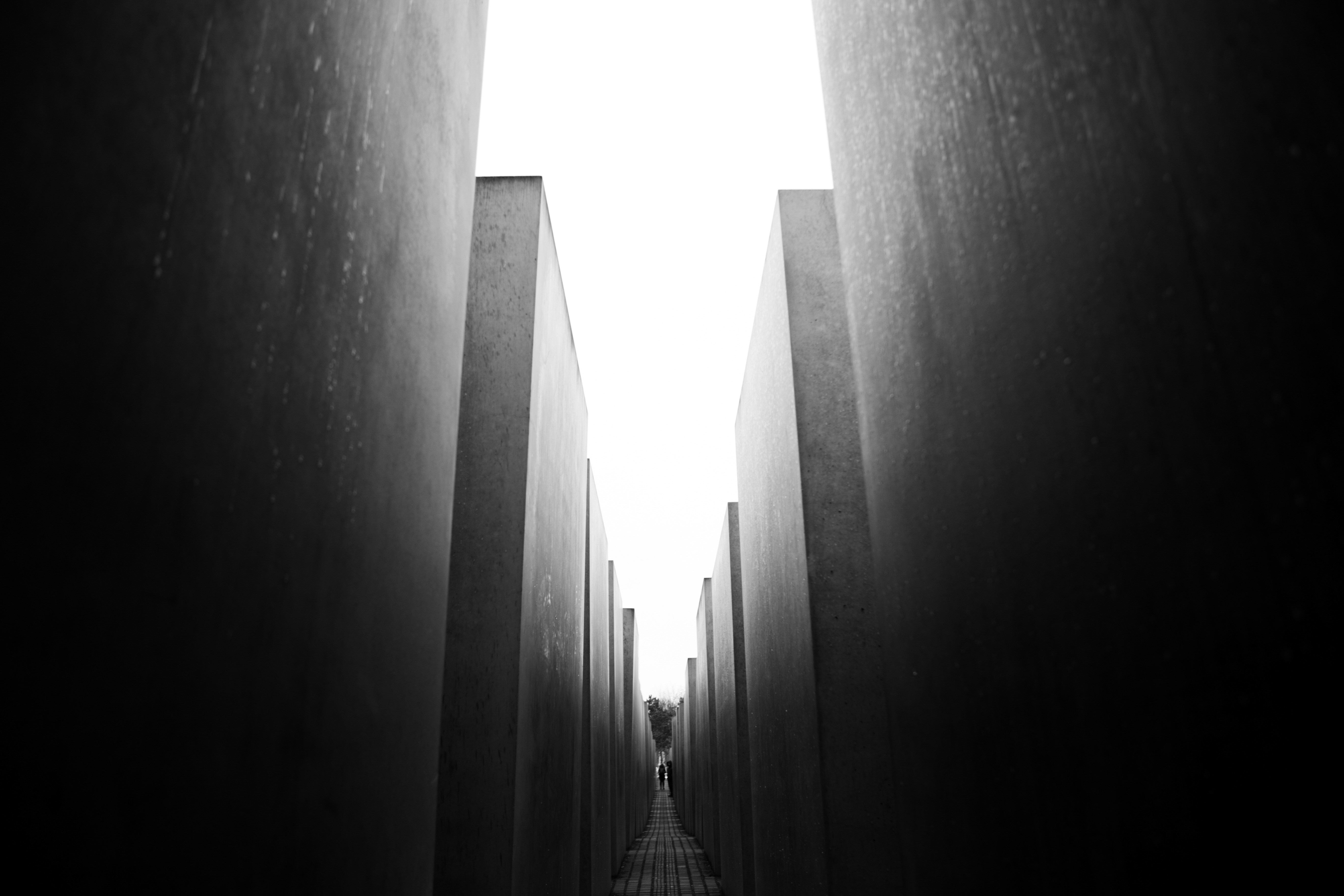 Photo by mrmarkdejong