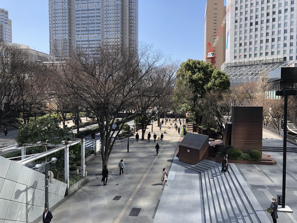 people walking at walkway with bare trees and high-rise buildings