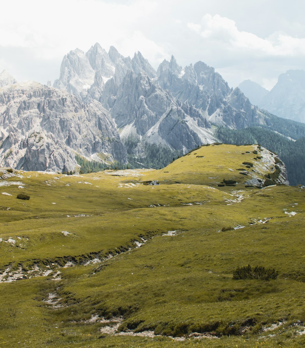 green grass field with mountain in distance