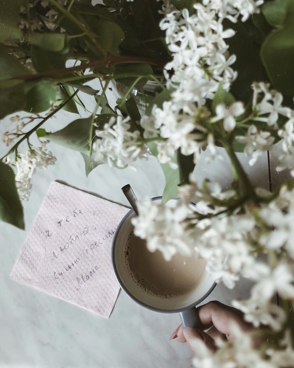 person holding cup with coffee near white flower