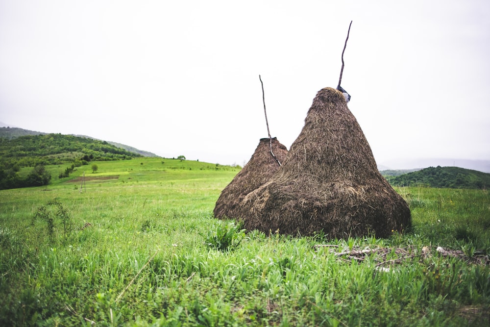 two brown hay stacks