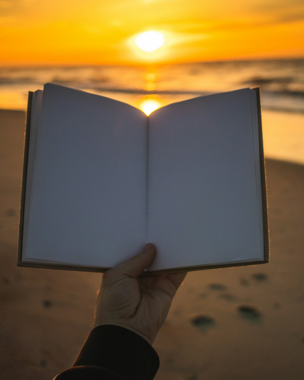 person holding open book with no print