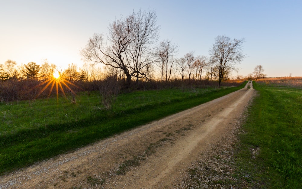 Wirtschaftsweg unter strahlend blauem Himmel