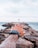 An outstretched tattooed arm reaching towards the sea, across a rocky jetty extending into the ocean. A watch is visible on the wrist. In the distance, the sky is partly cloudy with a few seagulls flying. A navigational structure stands at the end of the jetty.