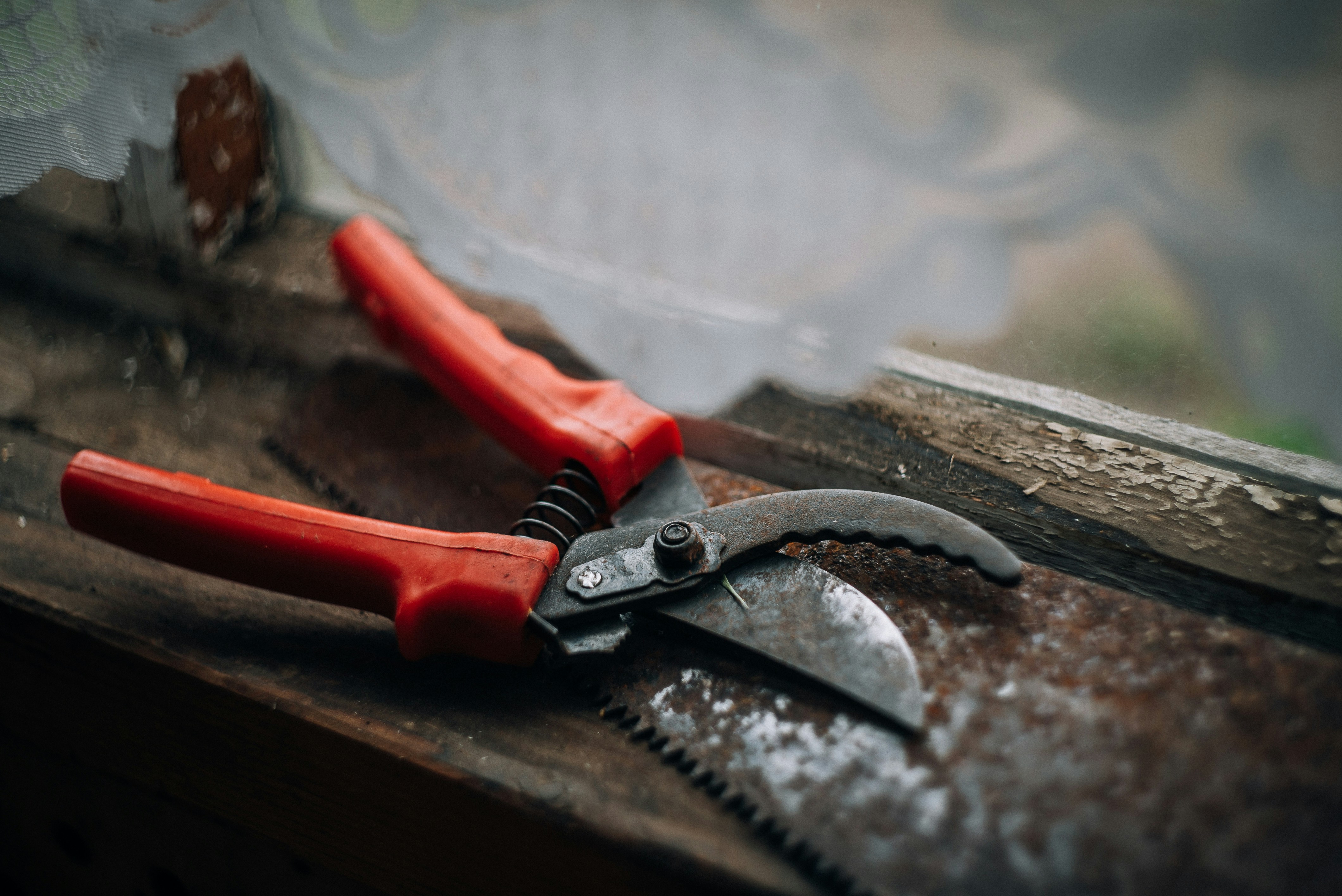 Photo by vladshalaginov