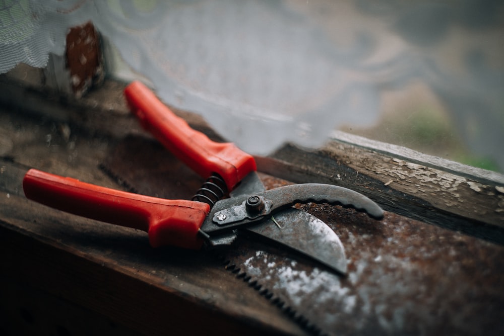 red pruning shears