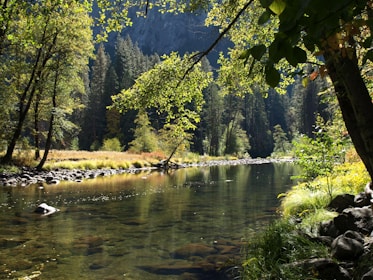 calm river during daytime