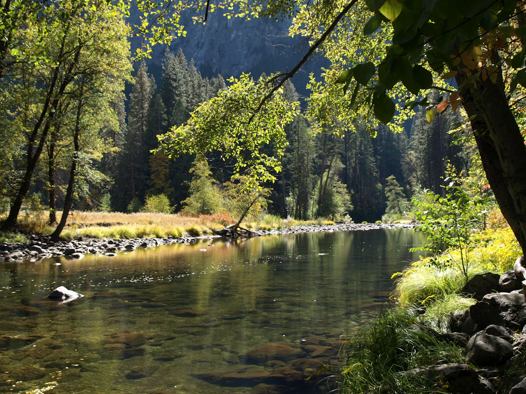 River landscape, illustrative photo not the actual Auburn Trail Blaze route