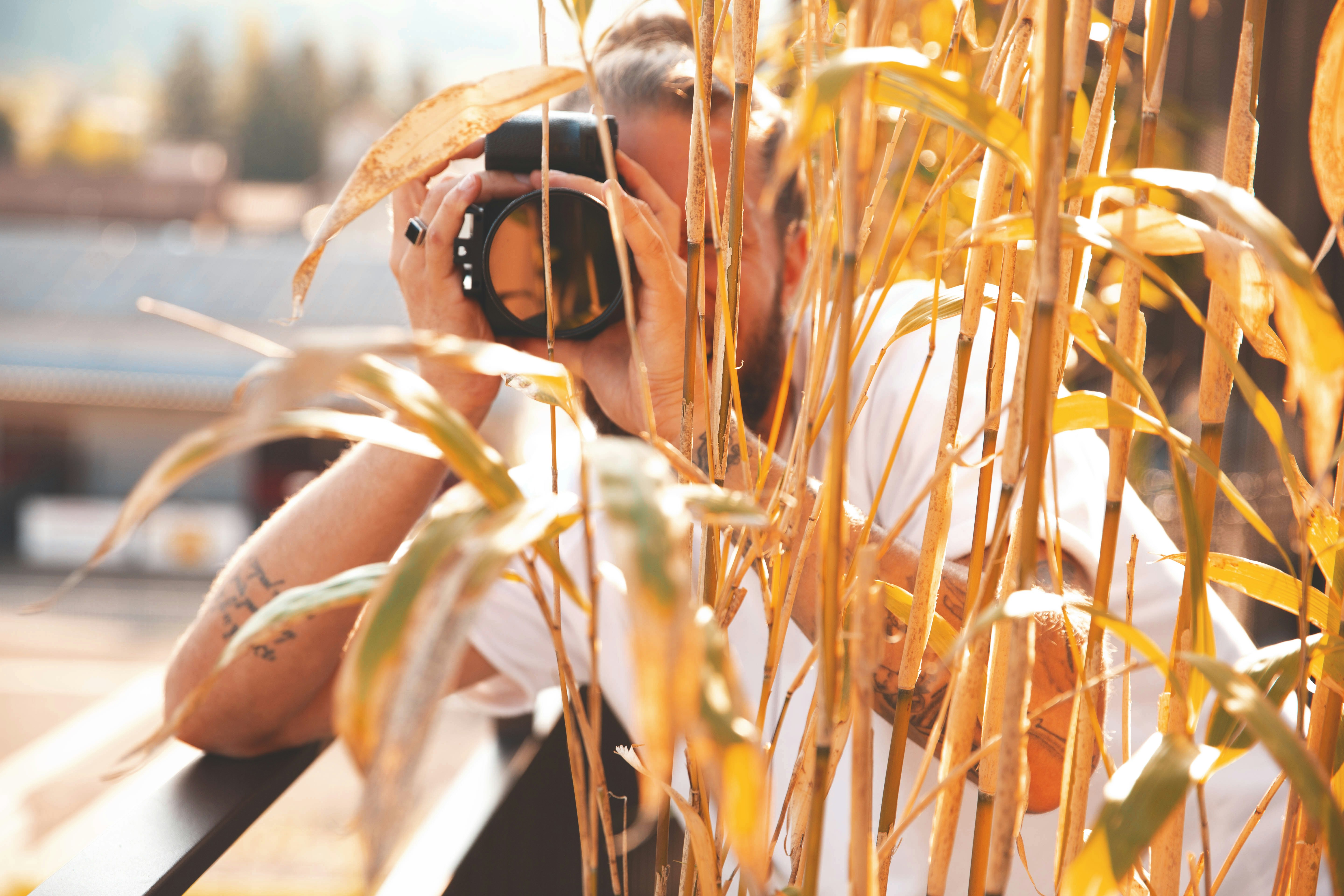 man taking photo of bamboo plant
