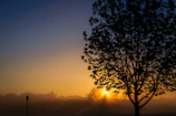 A close-up of a painting showing a sunrise symbolizing new beginnings.