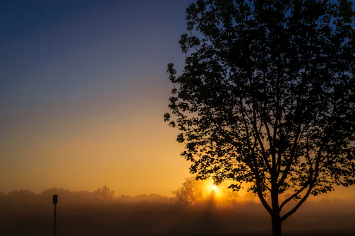 A close-up of a painting showing a sunrise symbolizing new beginnings and the passage of time.