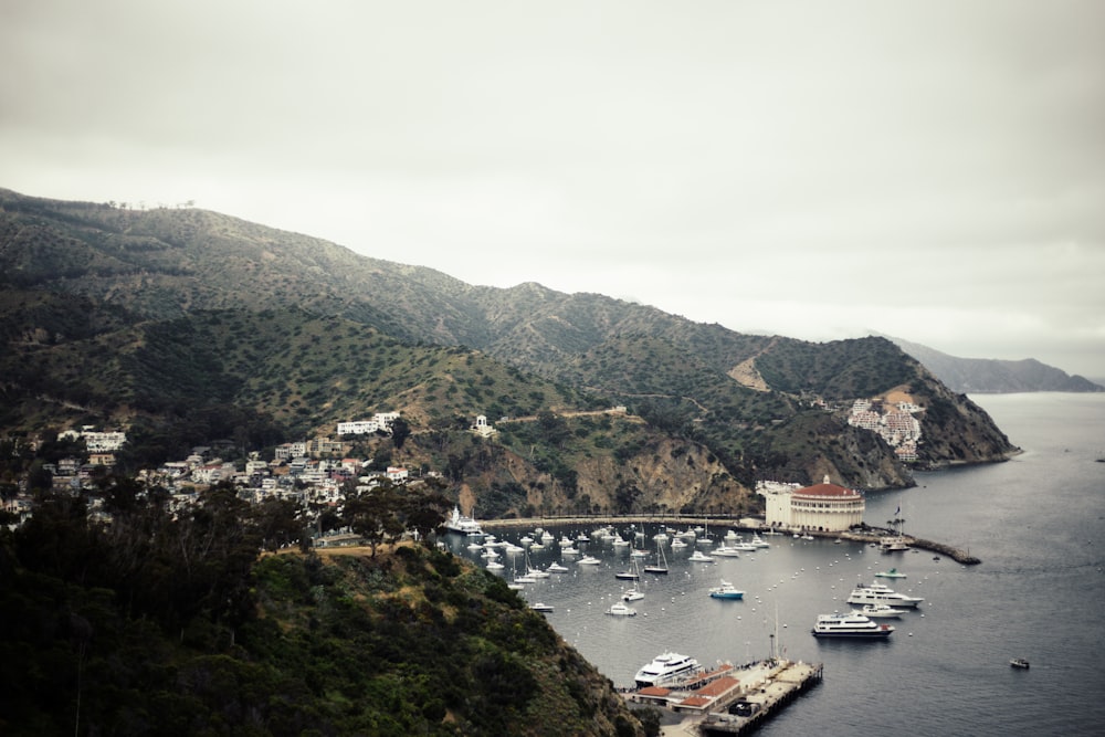 white boats near mountain