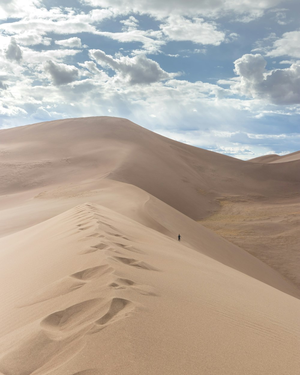 Impressões de pés no deserto