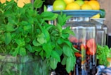 A vibrant, fresh arrangement of ingredients including a large bunch of mint leaves, a plate of mixed citrus fruits such as limes, lemons, and oranges, and large glass jars filled with blueberries and sliced red apples.