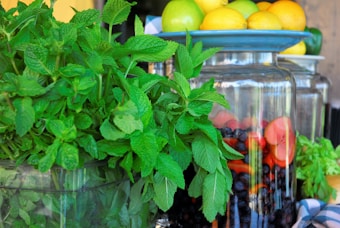 A vibrant, fresh arrangement of ingredients including a large bunch of mint leaves, a plate of mixed citrus fruits such as limes, lemons, and oranges, and large glass jars filled with blueberries and sliced red apples.