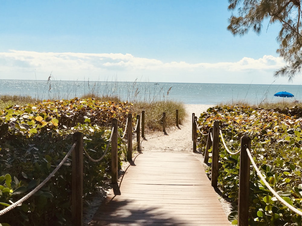 muelle de jardín marrón