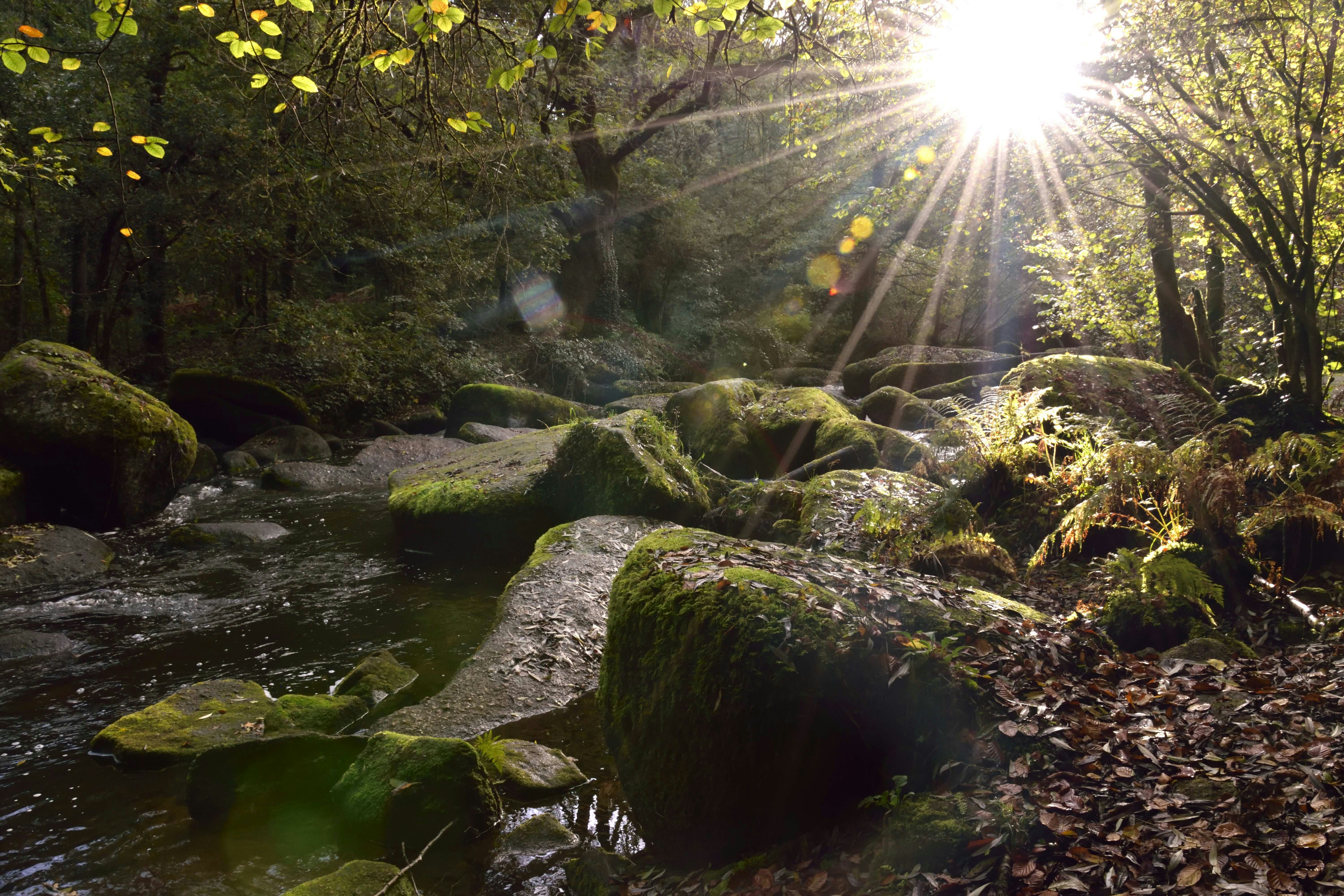 Photo by la_photo_volante