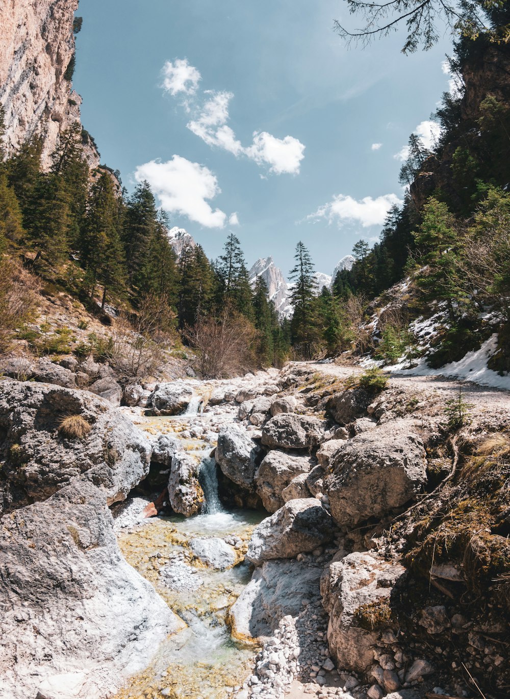 rock formation near trees during daytime