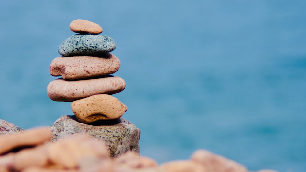 focus photography of stones