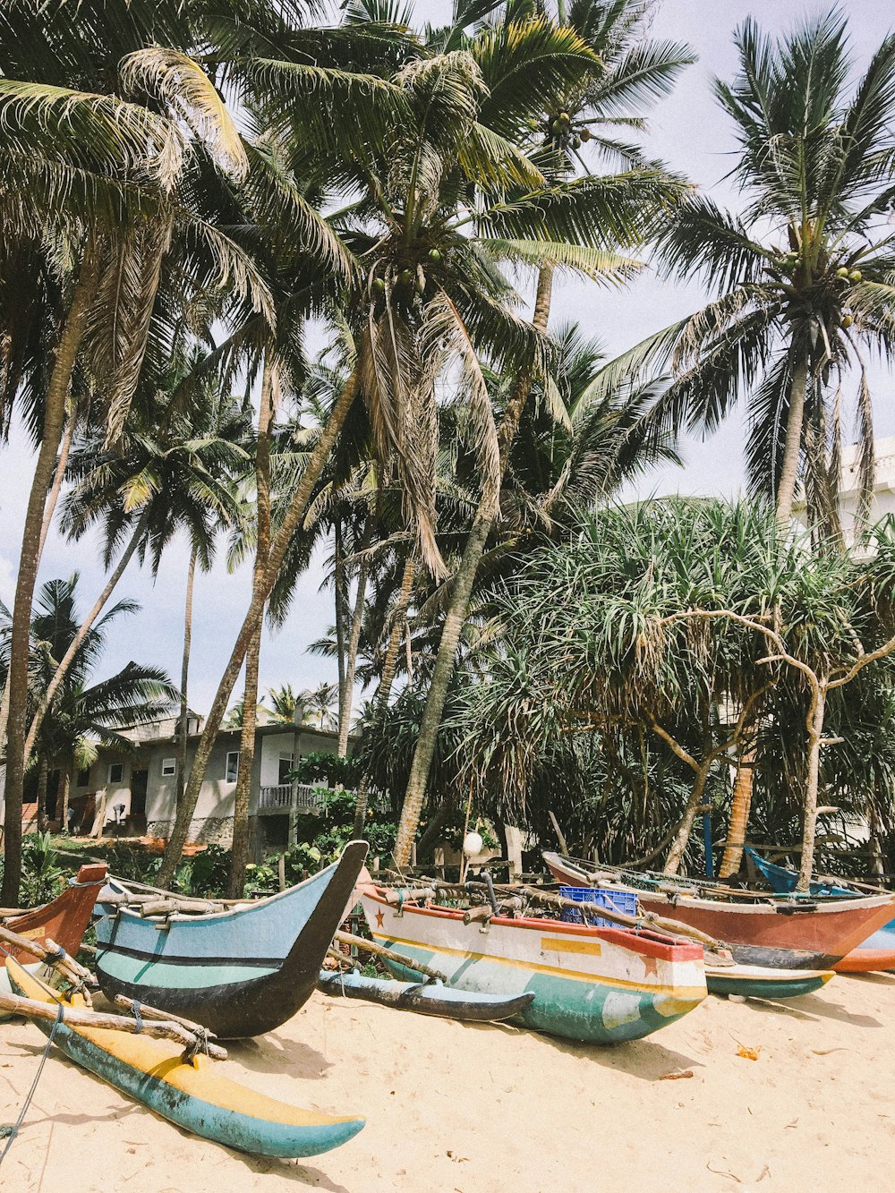 boats under coconut trees