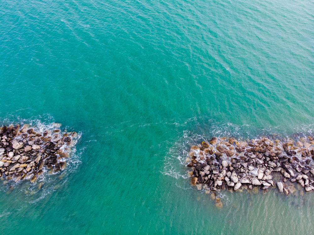 top view of black and rocks surrounded by green body of water