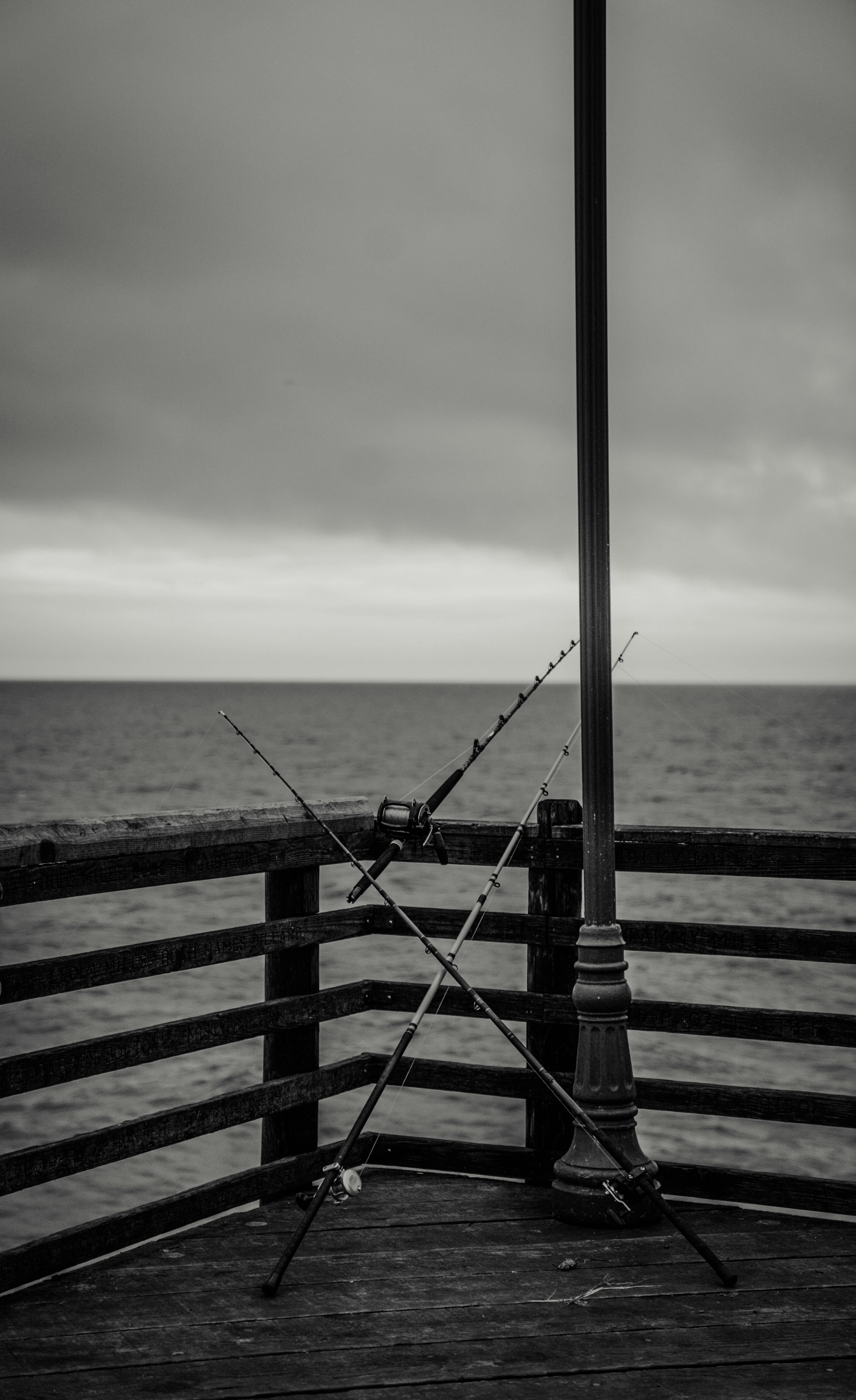 Photo by matthewpablico